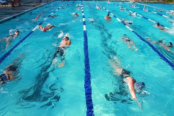 People swimming in lanes in a pool