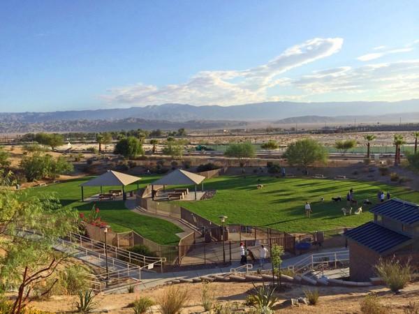 University Dog Park