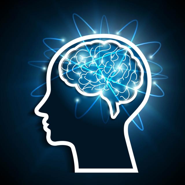 Brain