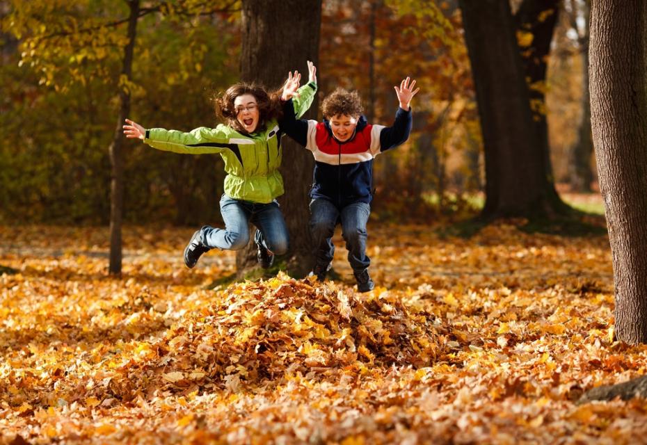 Kids in fall leaves