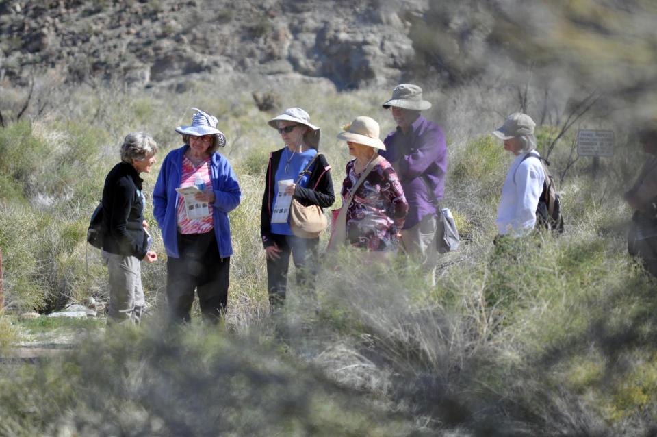 Group of adults hiking in the desert